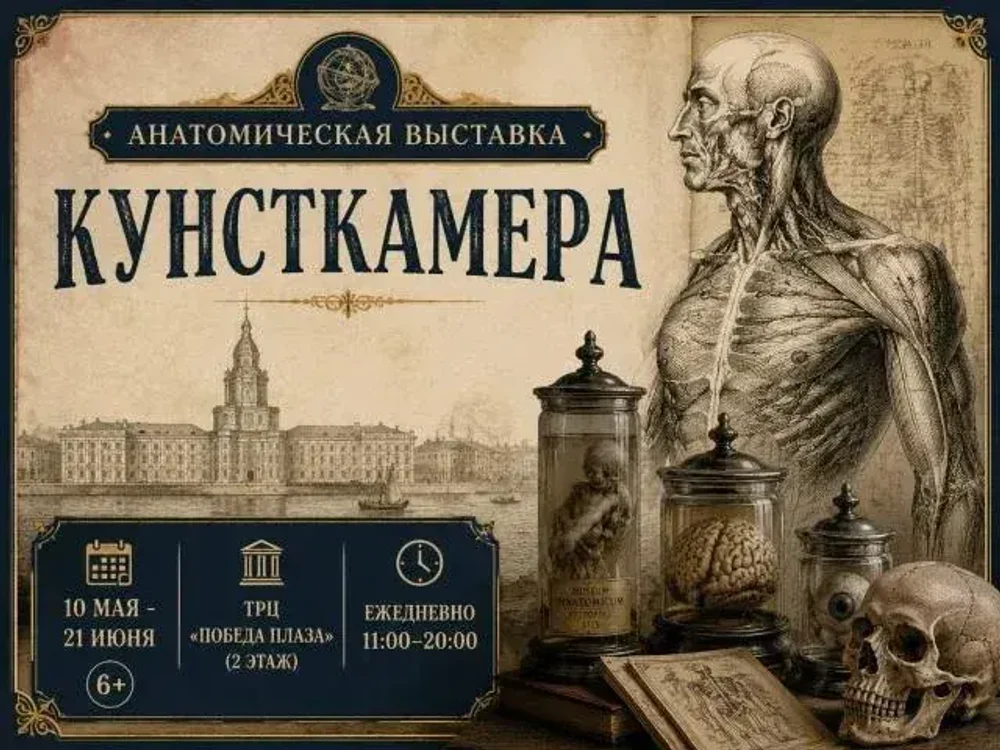 АФИША